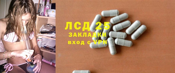 стаф Калач