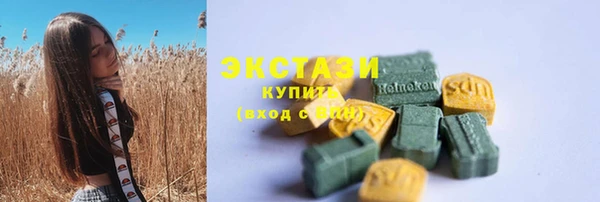 МДПВ Пересвет