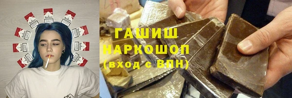 МДПВ Пересвет