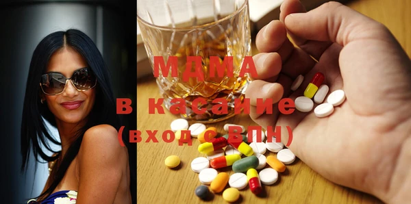 МДПВ Пересвет