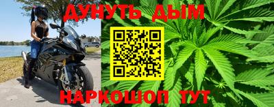 молекула духа Заводоуковск