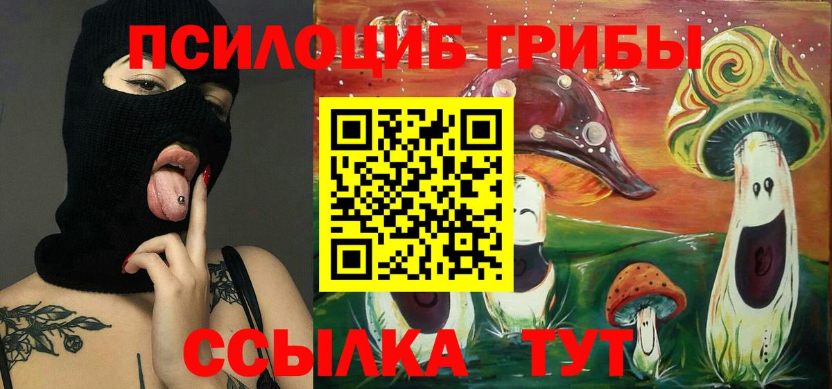 Псилоцибиновые грибы мицелий  Галлюциногенные грибы Psilocybe  Вход с VPN  Тюмень 